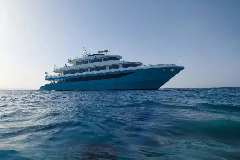 Kitesafari Ägypten 2026